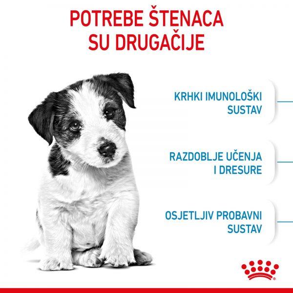 agroart-RC-SPT-DRY-MiniPuppy-2
