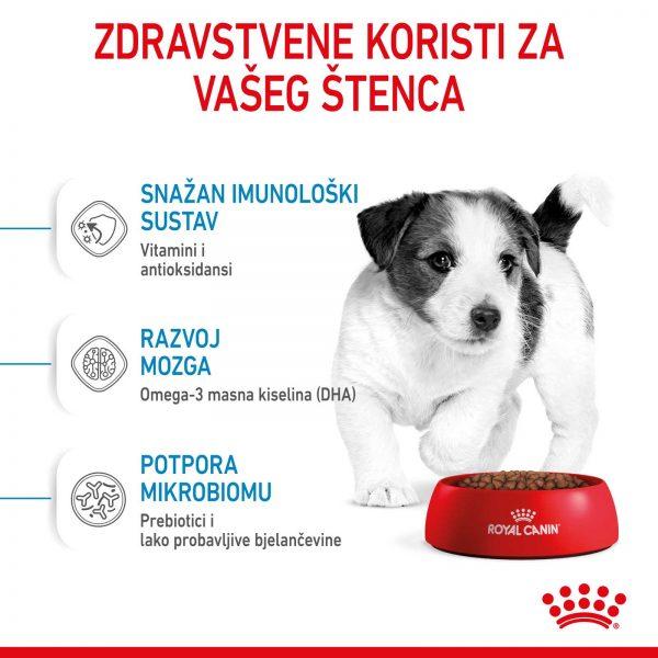 agroart-RC-SPT-DRY-MiniPuppy-3