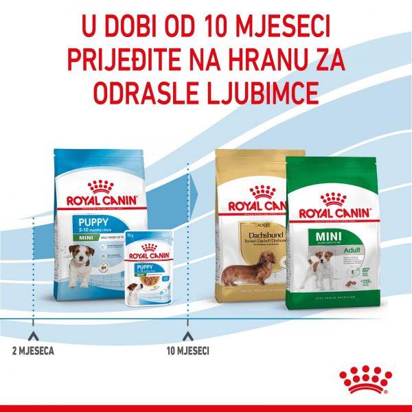 agroart-RC-SPT-DRY-MiniPuppy-5
